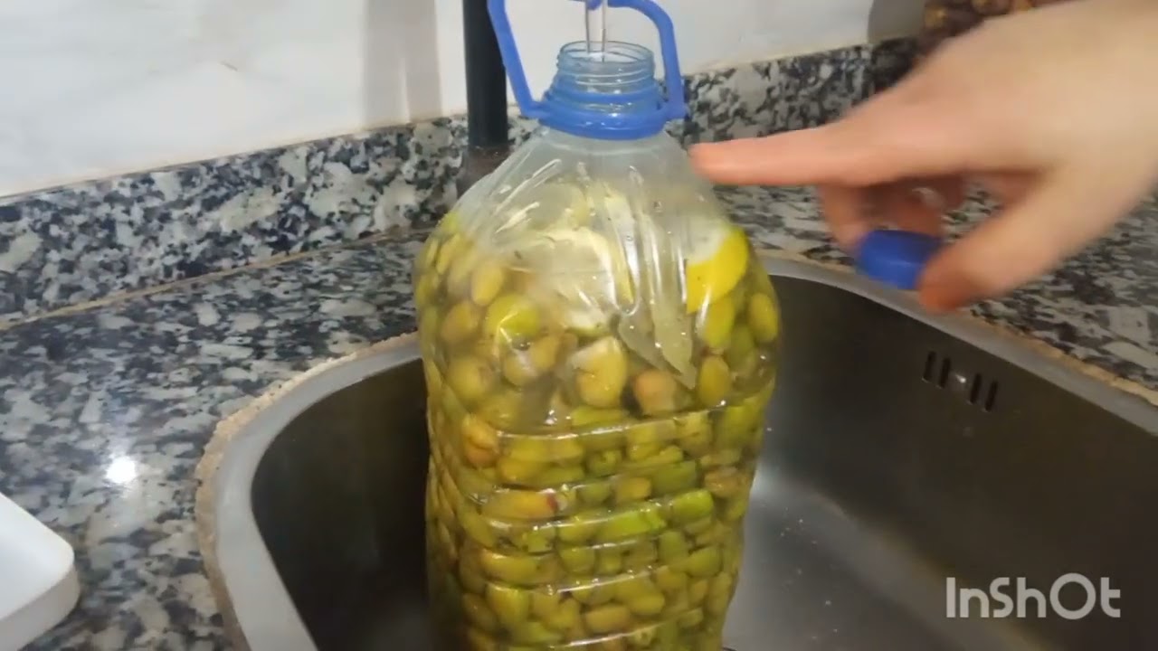 زيتون مرقد متشبعوش منو 👍👍🥳🥳#سندويش #اكسبلور #food