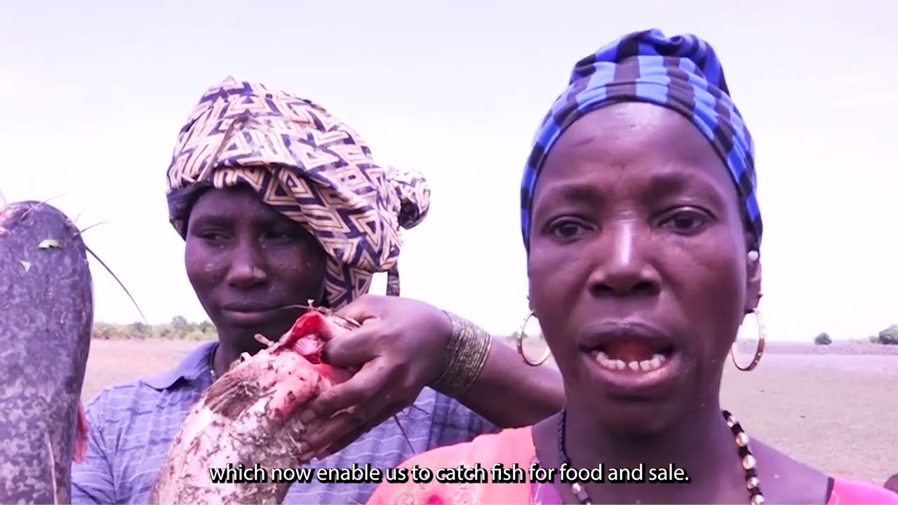 Appui au D&eacute;veloppement de l'aquaculture en Haute et Moyenne Guin&eacute;e