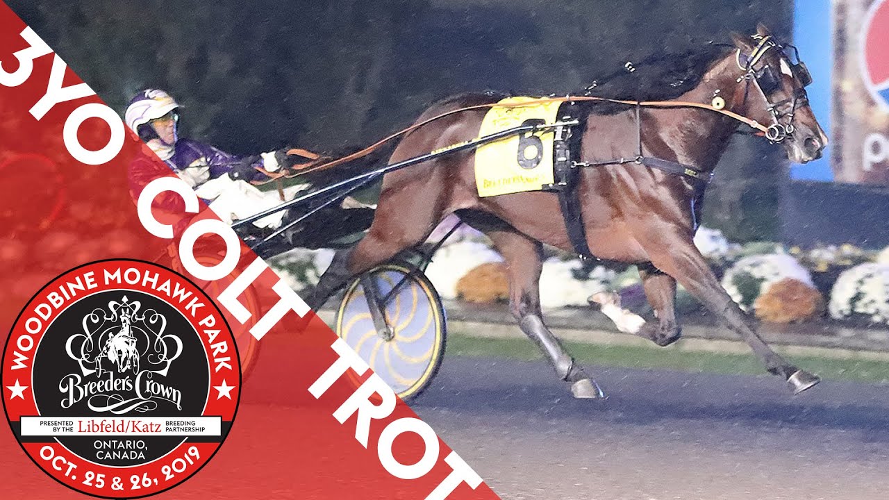 2019 Breeders Crown - Gimpanzee - 3YO Colt Trot