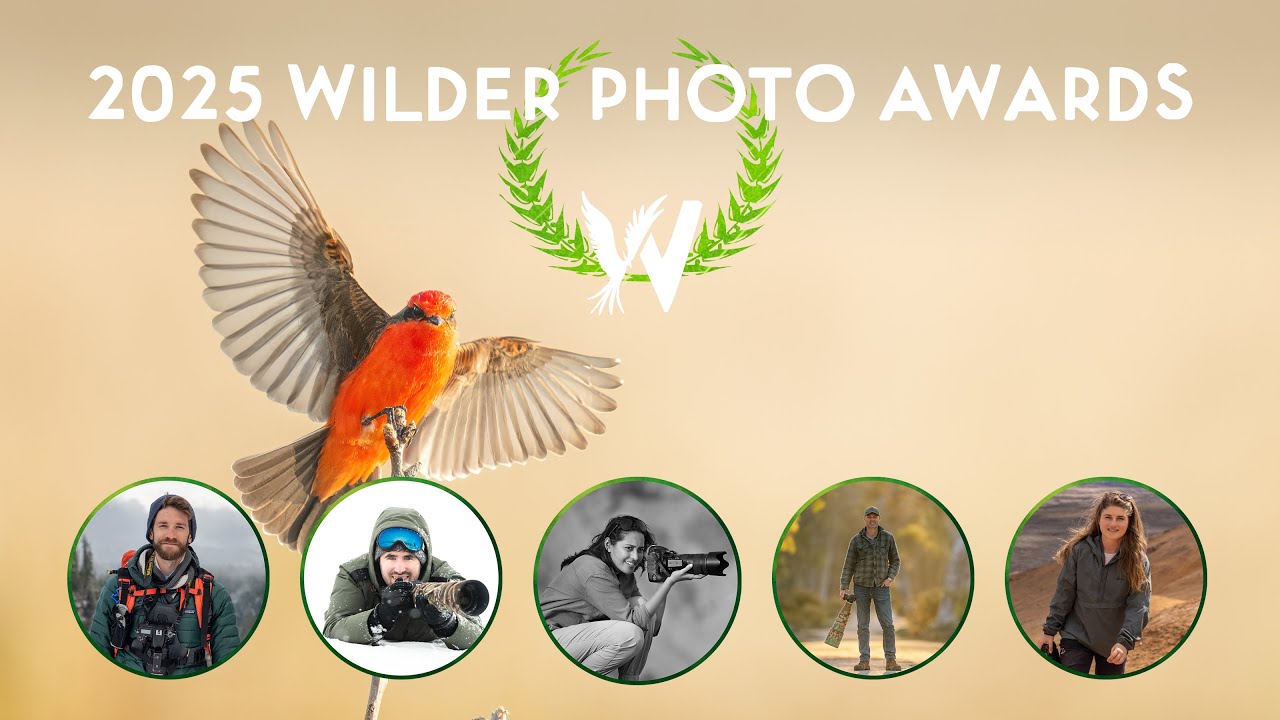 2025 Wilder Photography Competition - LIVE EVENT