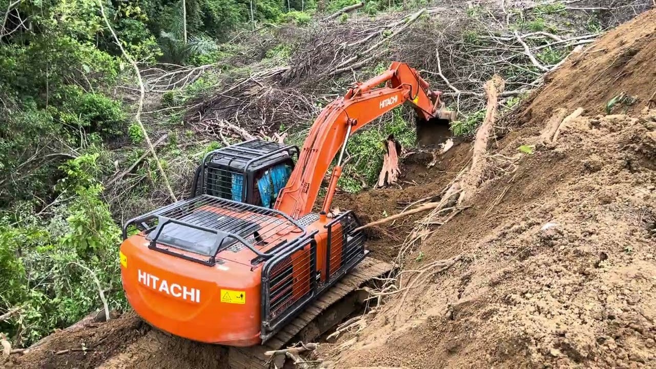 Excavator Clearing Land on a Steep Forest Hillside