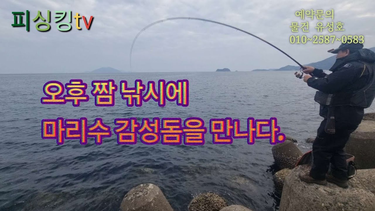 오후 짬낚시에 마리수 감성돔을 잡을수있는 방파제가있다. 👍 with 물건 유성호.