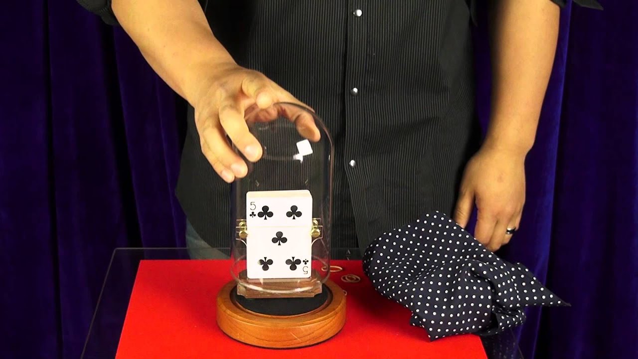 Horizontal Card Rise by Collector's Workshop / SEO MAGIC USA