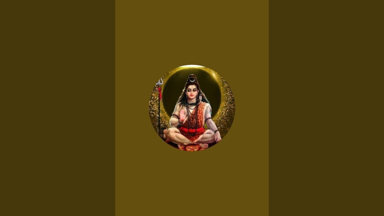 Live Tarot Reads