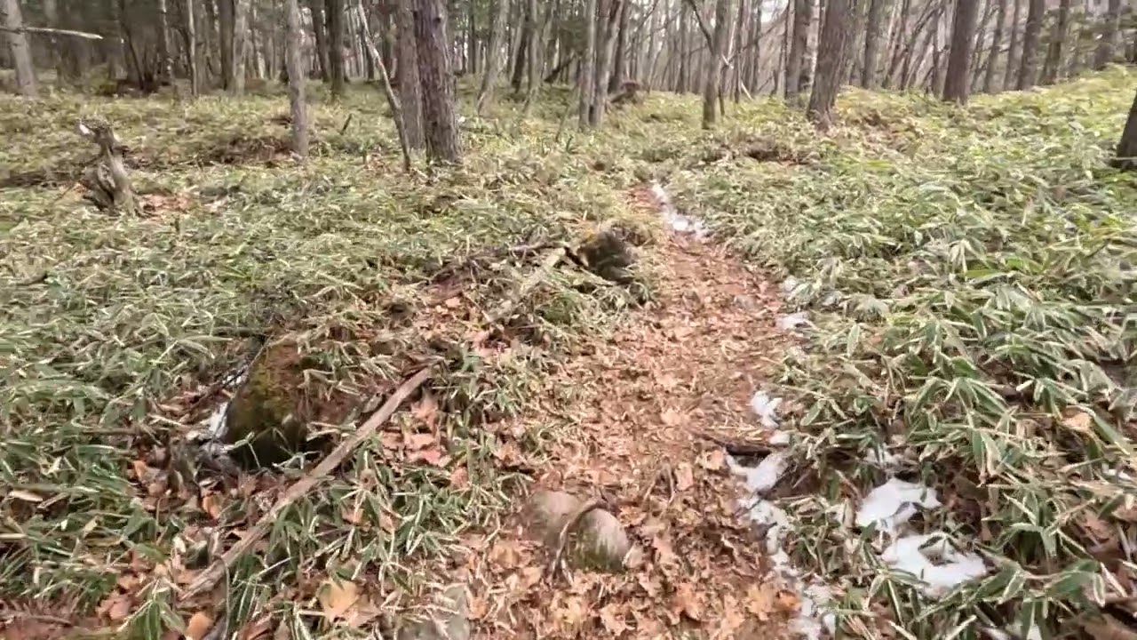 硫黄岳山行20260313①