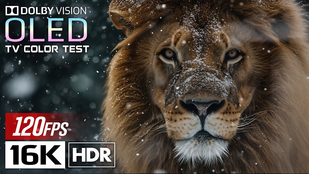 Animal Planet OLED Demo 16K HDR 120fps Dolby Vision (4K/8K TV) #1