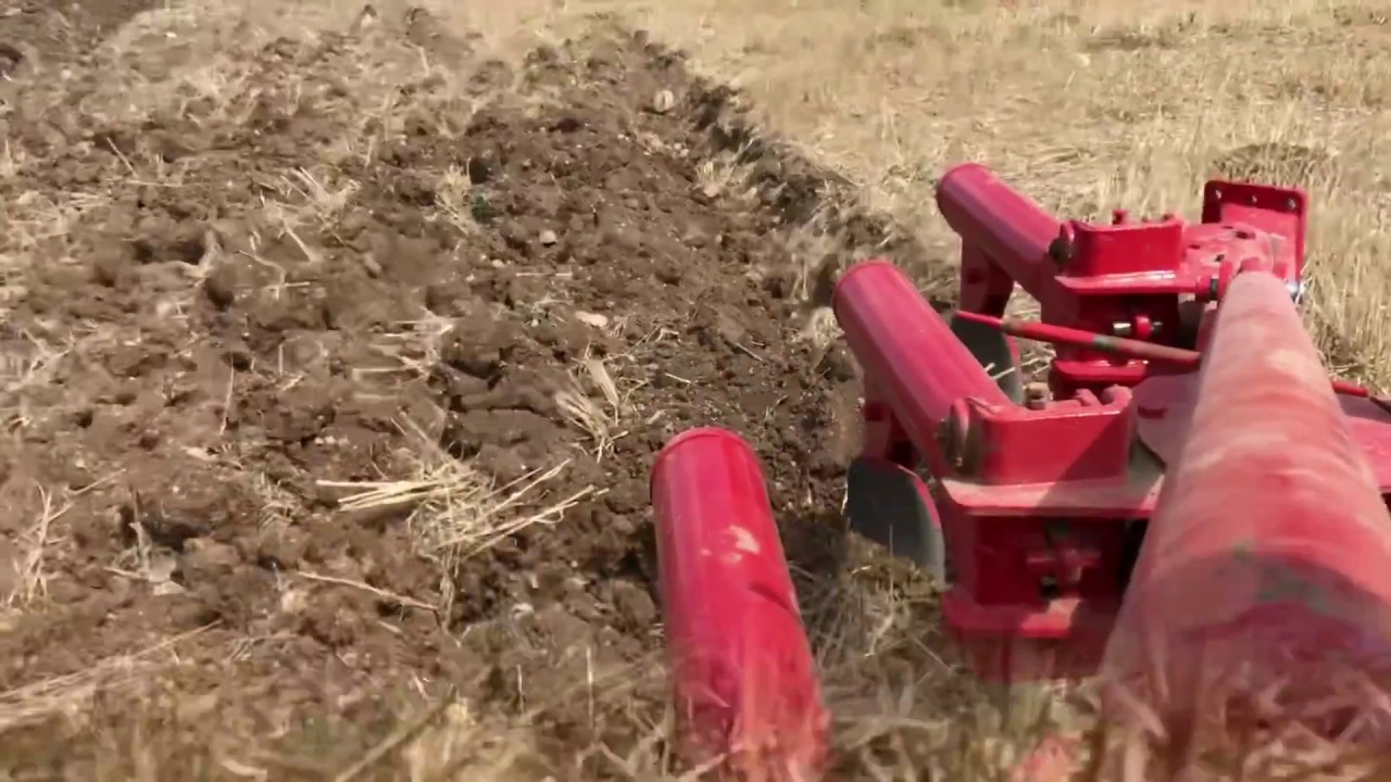 ALPLER PULLUK TAŞA DAYANIRMI