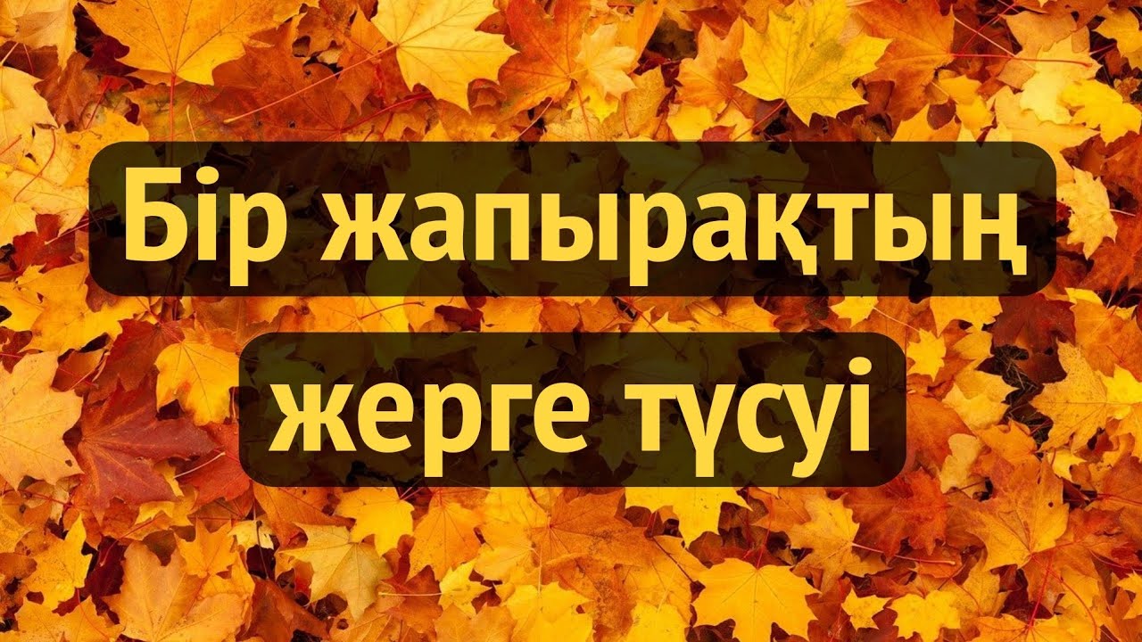 Алла бәрін толық білуші  - ұстаз Ерлан Ақатаев. Талдан үзіліп бір жапырақ түссе, оны да Алла біледі.