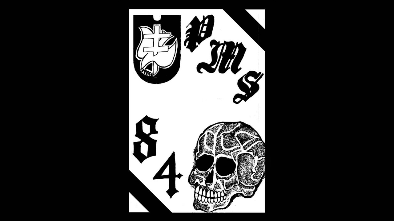 PMS 84 - Demo 2014
