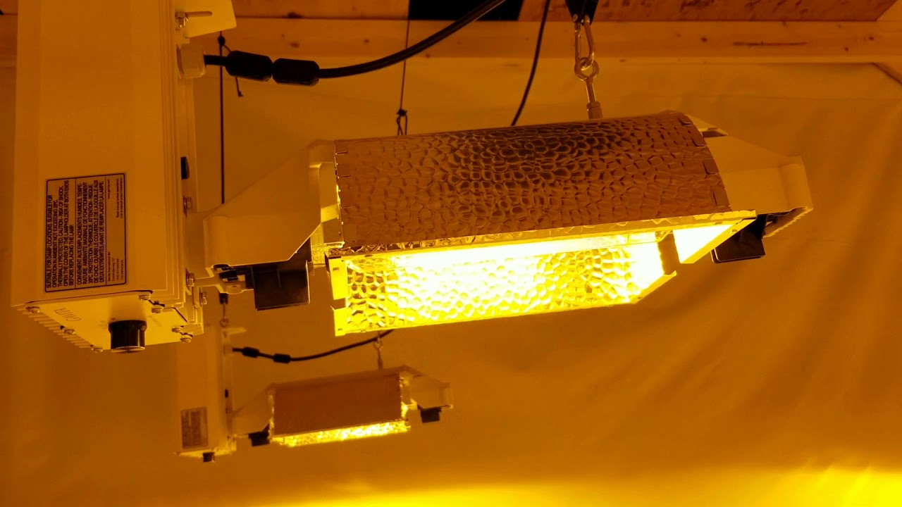 New Grow Rooms Gavita Pro 1000 Lamps