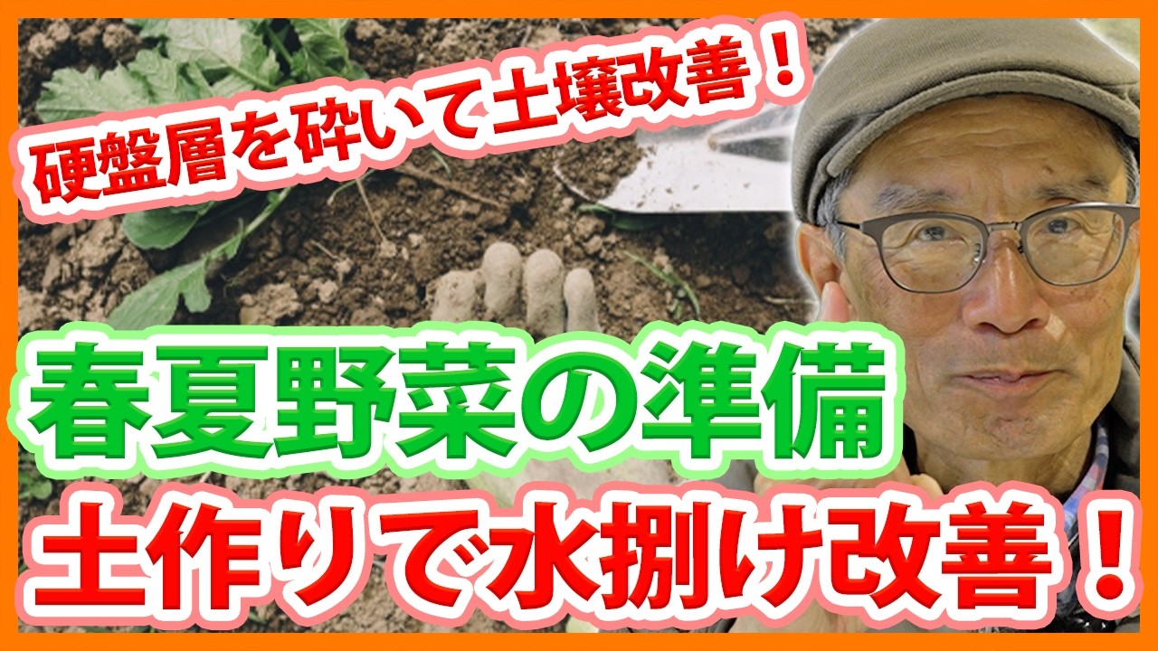 家庭菜園や農園の春夏野菜栽培の土作りで水はけ改善！硬盤層の砕き方など対策と春夏野菜の育て方！【農家直伝】