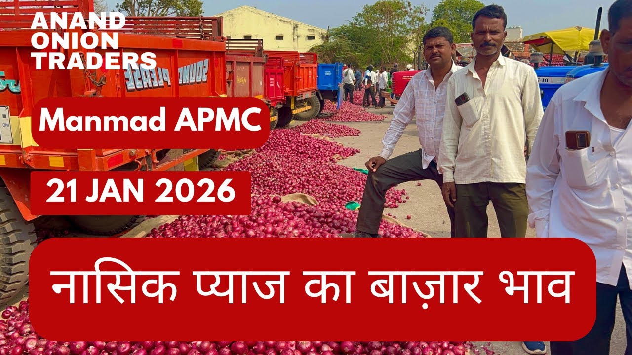आज का नाशिक प्याज मार्केट भाव 🔥 | Nashik Onion Today Rate | Latest Update 21 January 2026