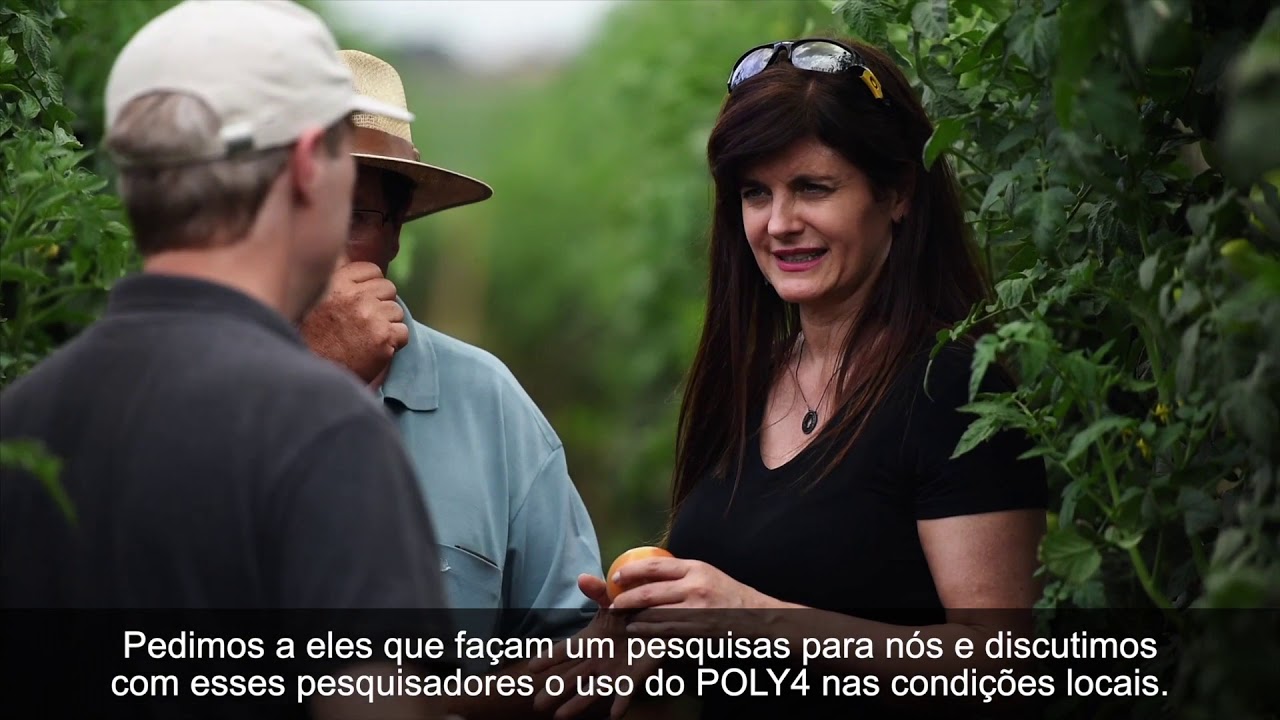 POLY4 | a game changing fertilizer in Brazil - Portuguese subtitles