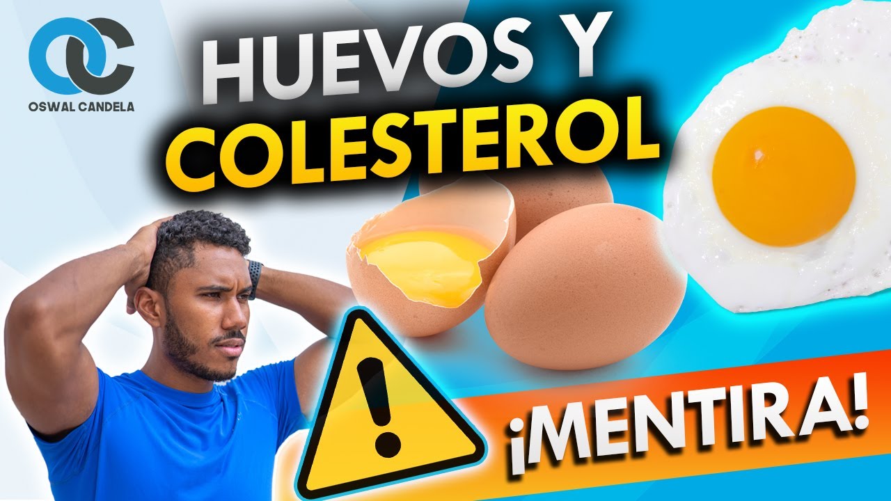 Huevos y colesterol ¡Mentira!