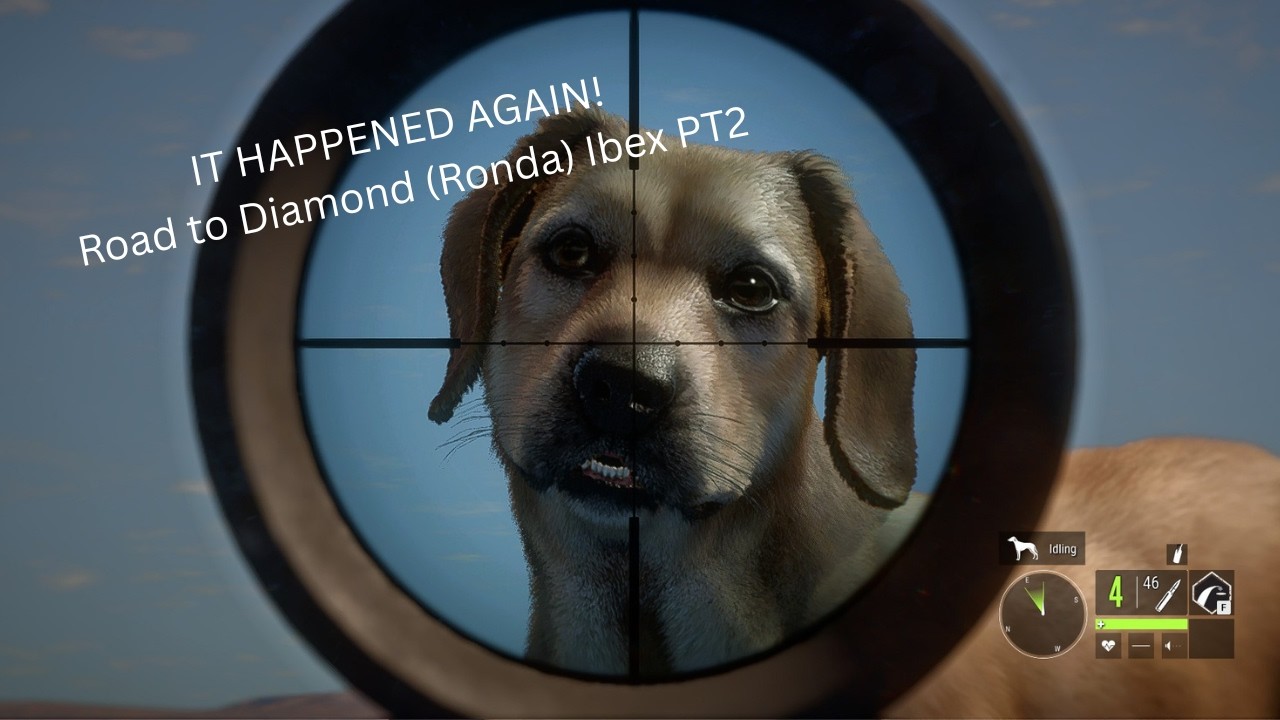 IT HAPPENED AGAIN! Road to Diamond (Ronda) Ibex Part 2