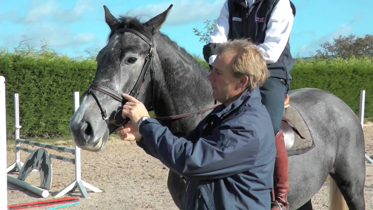 William Funnell | Tack for training a young horse | HorseandRider UK