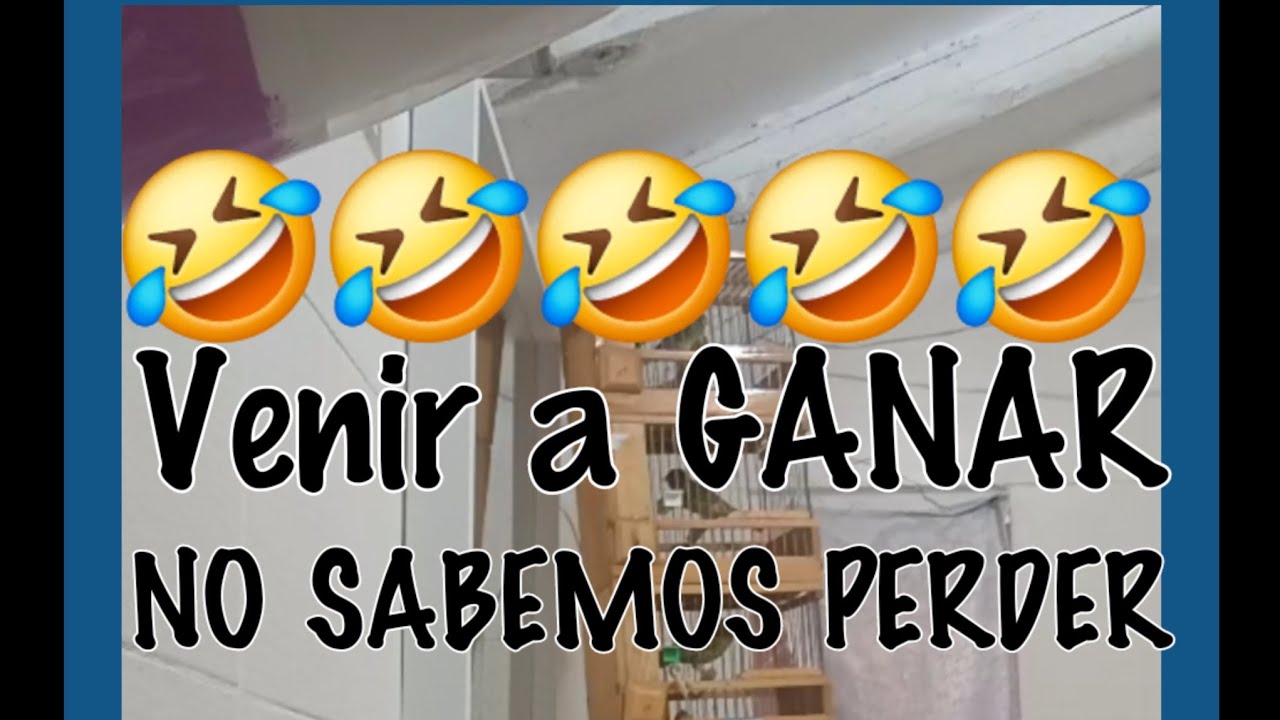 Venir a GANAR 💪,no sabemos PERDER.🤑