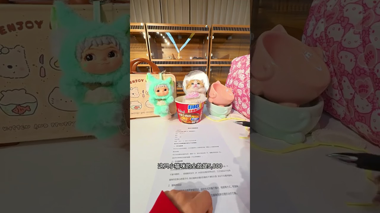First-person perspective experience sending Jin Jia Bai Xiaobao to his new home#Sister