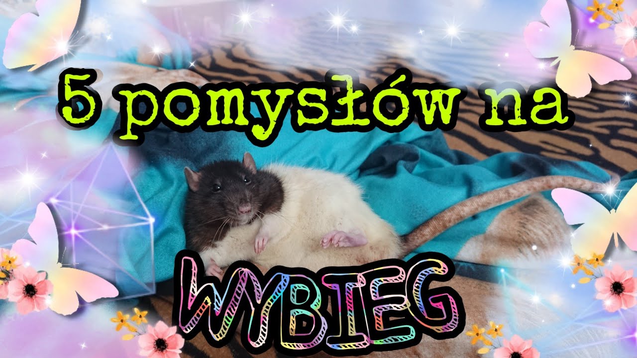 5 pomysłów na wybieg (61)