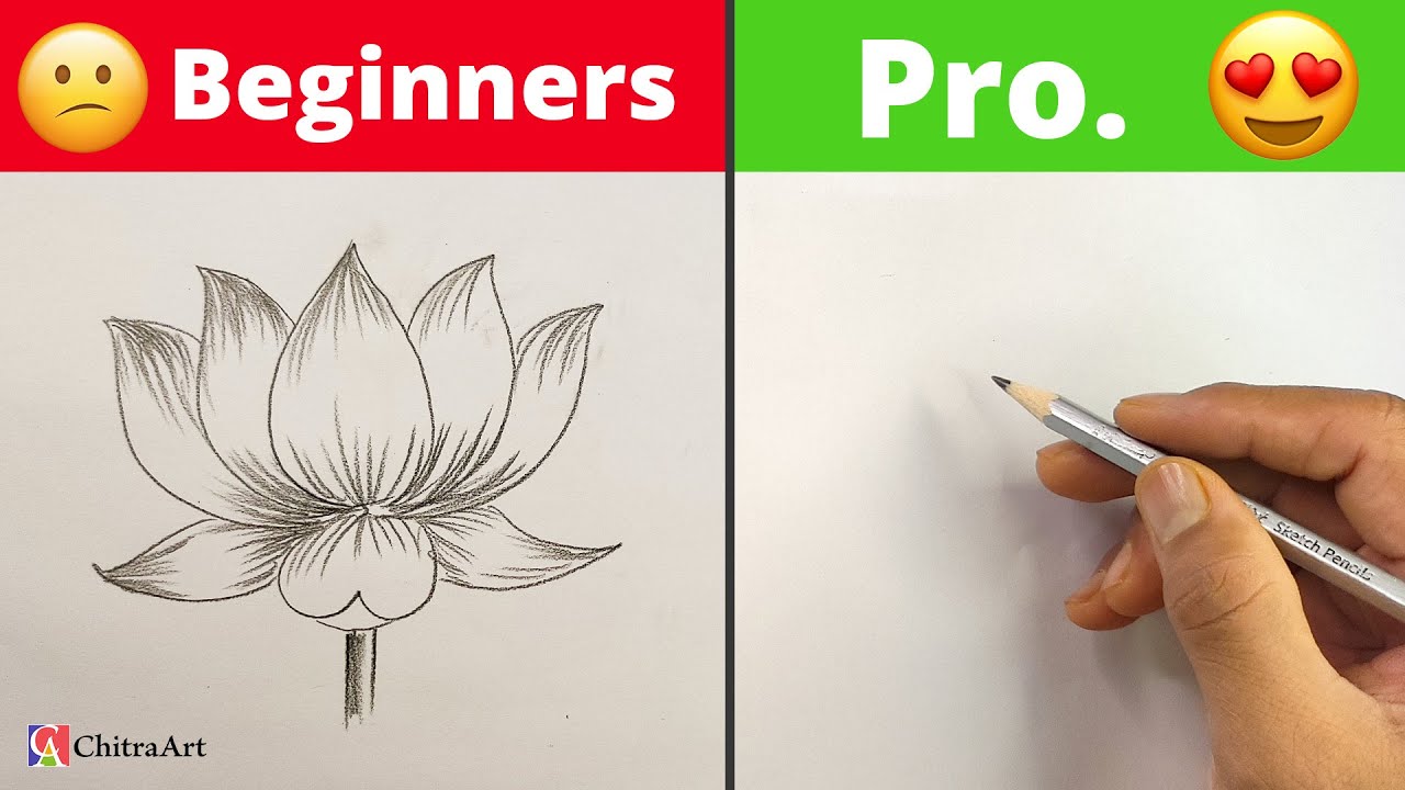 Beginner vs Professional Drawing | How To Draw Realistic Lotus Flower with Pencil Shading