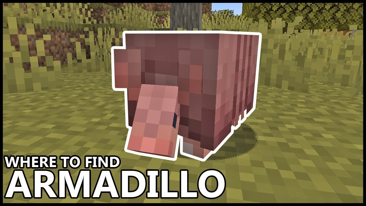 Where To Find ARMADILLO In MINECRAFT 1.21