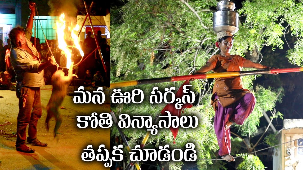 FUNNY MONKEY CIRCUS || మన పల్లెటూరి కోతి సర్కస్ || అద్భుతమైన విన్యాసాలు || కోతి ఆటా పాట || Village