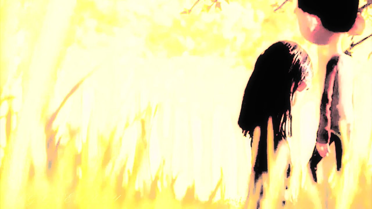 Aggie & Norman- Deep in the meadow...