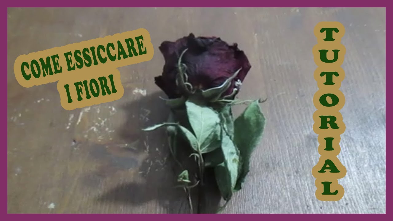 COME ESSICCARE I FIORI IN UN MODO SEMPLICISSIMO - TUTORIAL 2 metodo