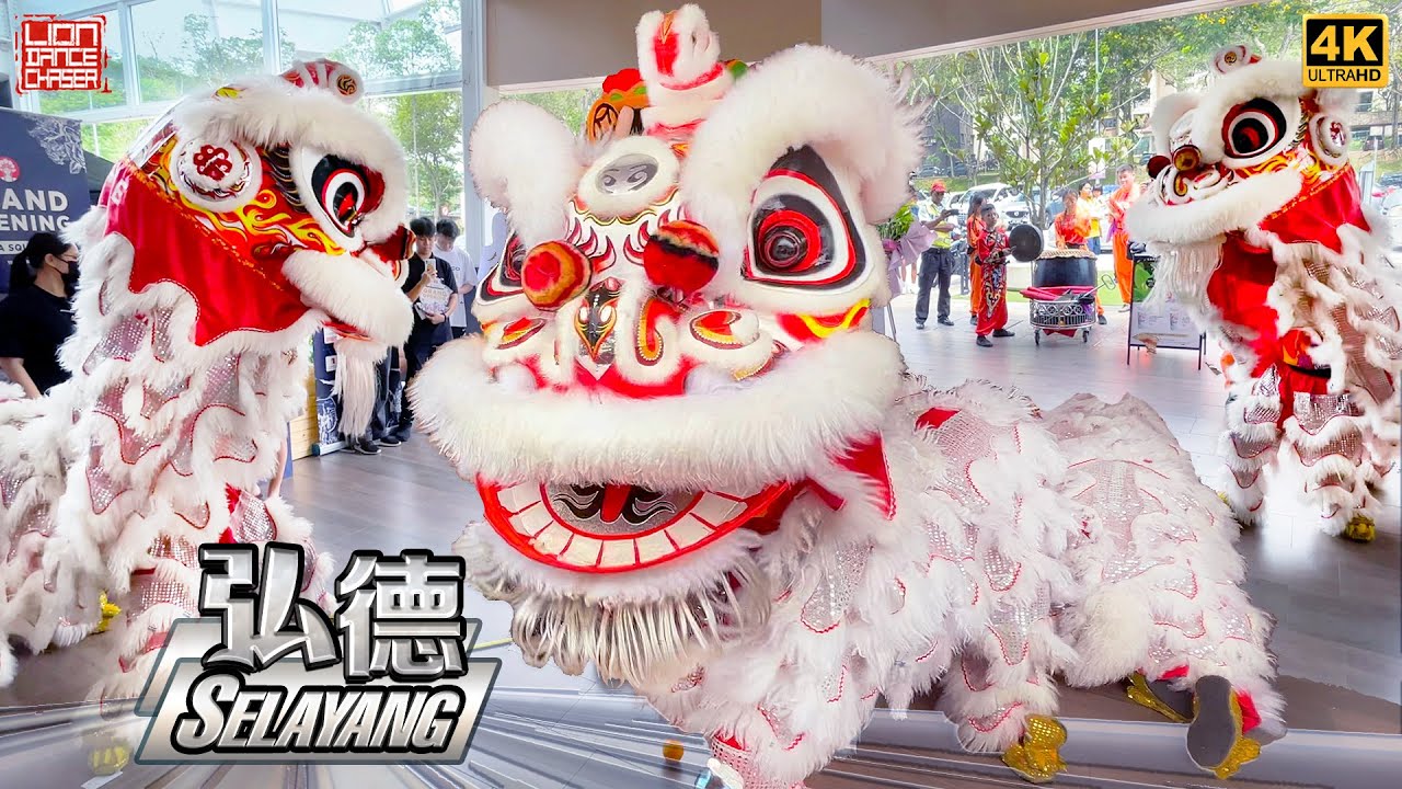 Lion Dance by Selayang Hong Teck 士拉央弘德 @ DA Square 开张贺庆 天降财神 传统採青 舞狮表演 鼓乐伴奏 民间传统