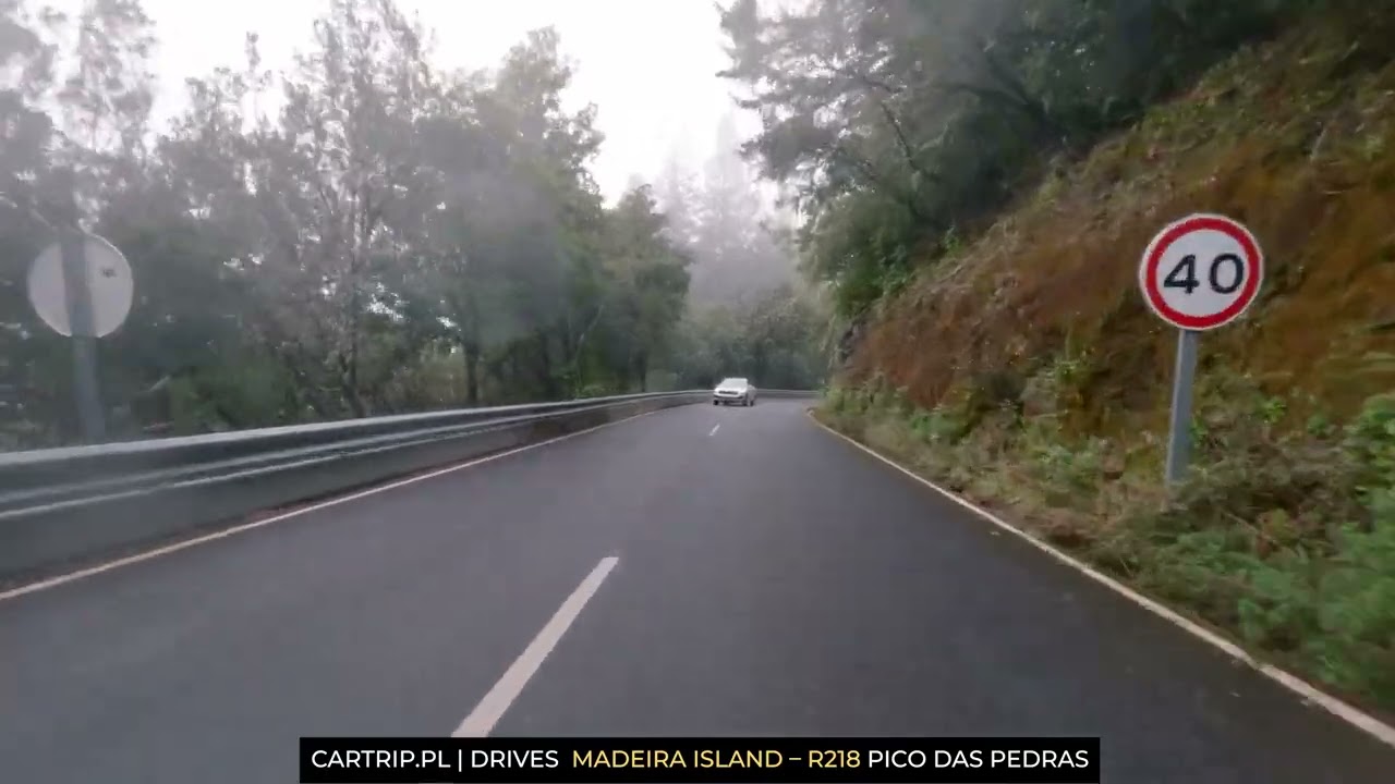 Madera Scenic Drive | local forest road ER218 around Pico das Pedras