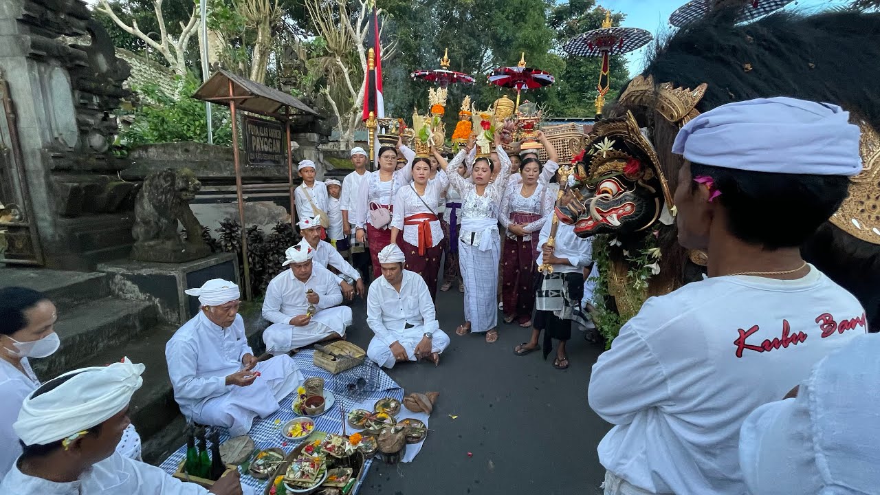 Tradisi ngerebeg #viralvideo #tradisi #bali #indonesia #barongan #rangda #taribali
