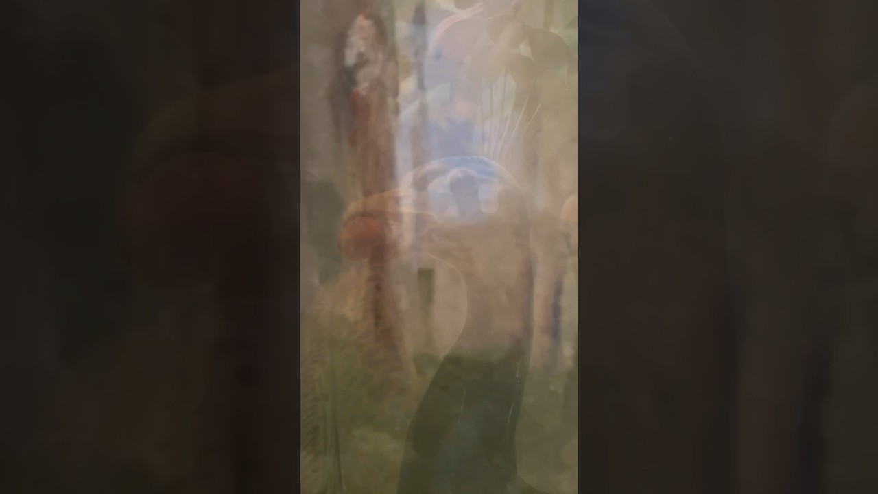 Malm&ouml; Museum - Konsthallen - 2024-04-27 (Robyn-EDIT) #skane