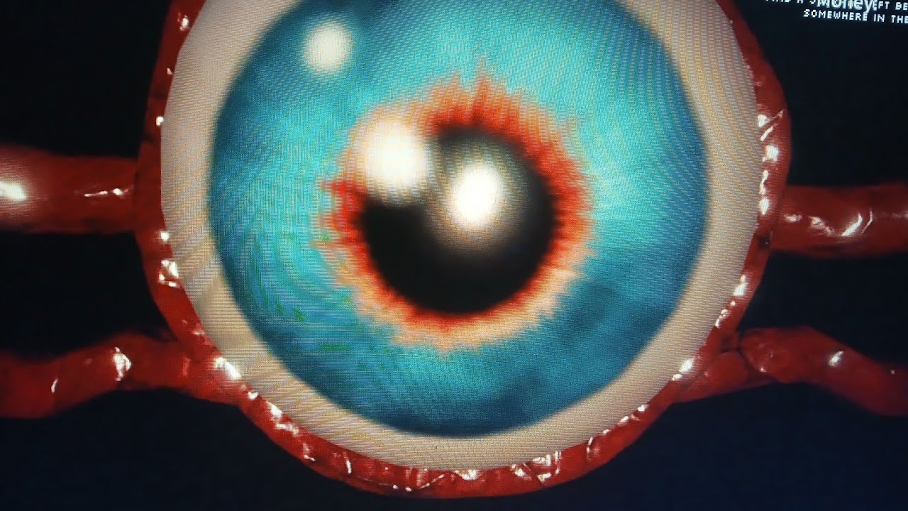 M.E.G. Endless Reality