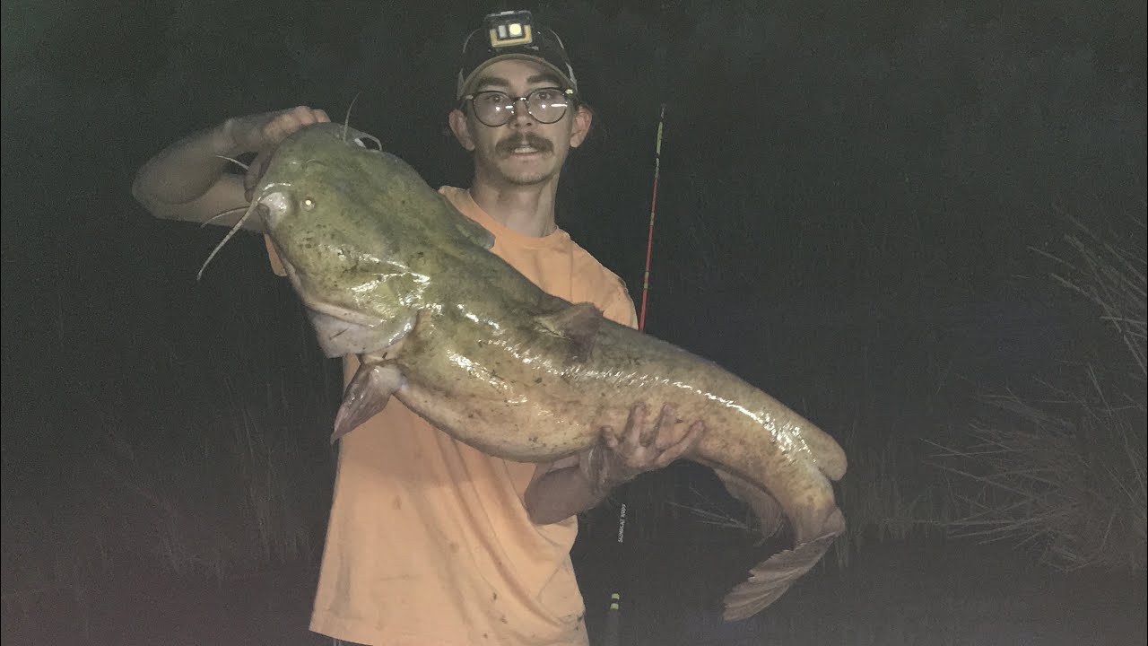 BIGGEST CATFISH EVER (New PB!)