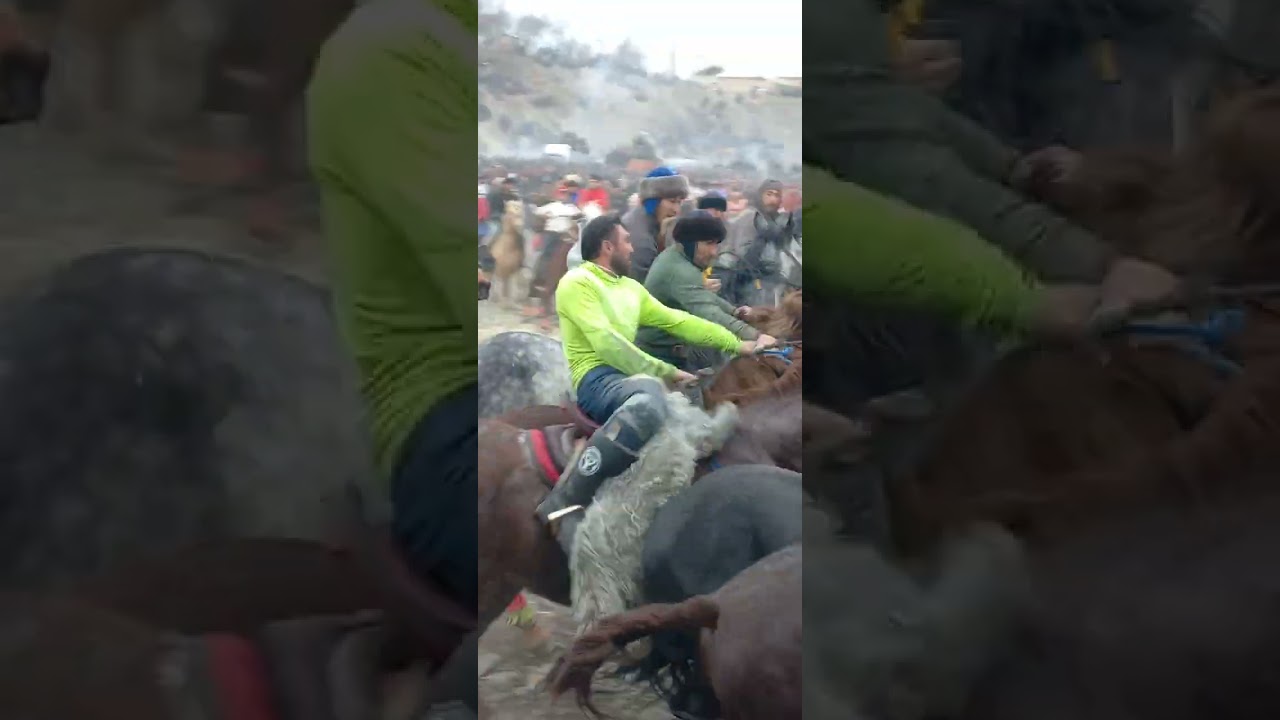 бузкаши деваштич қ дӯст дийорполвон бо аспи чингиз 10 01 24 💸🐂🇹🇯🇺🇿🇰🇿👍