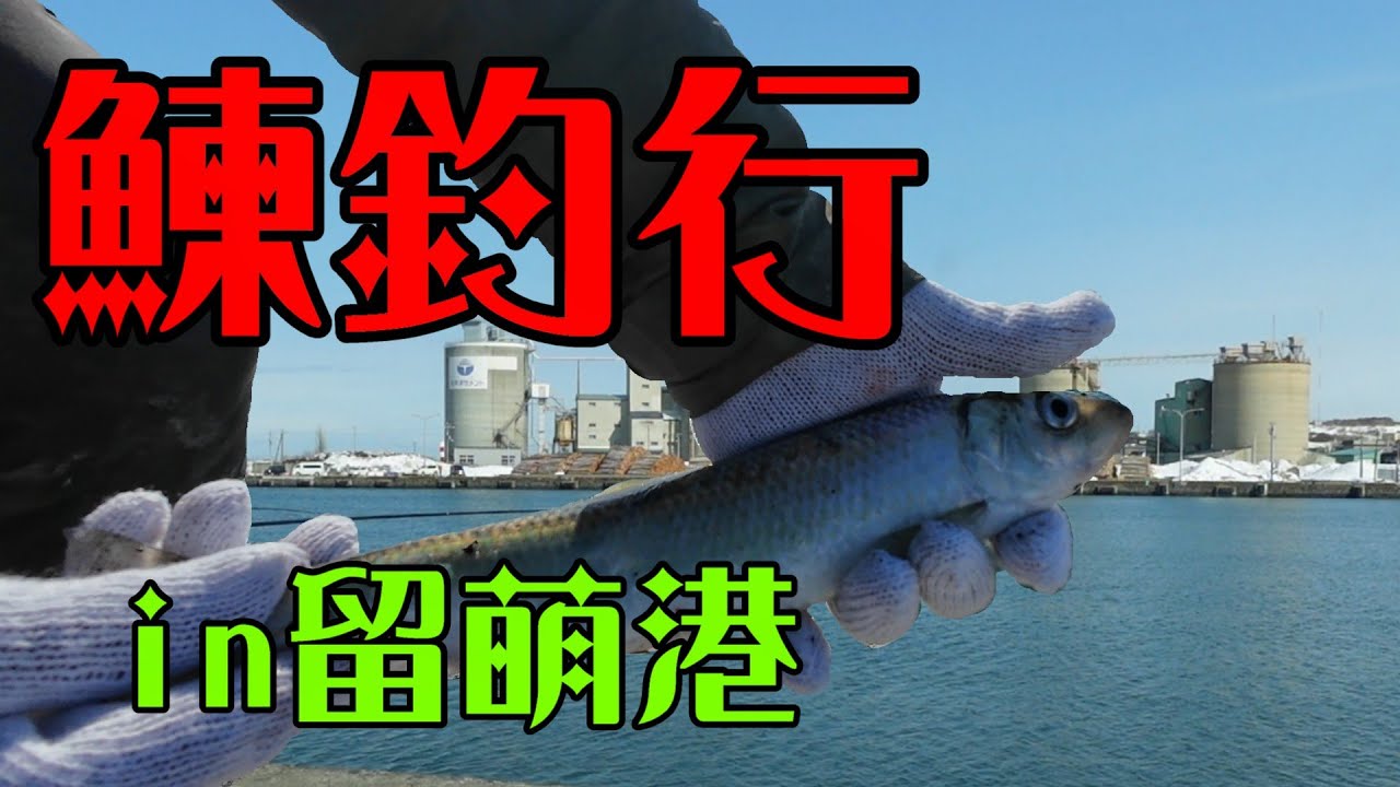 鰊狙い釣行in留萌港　partⅡ