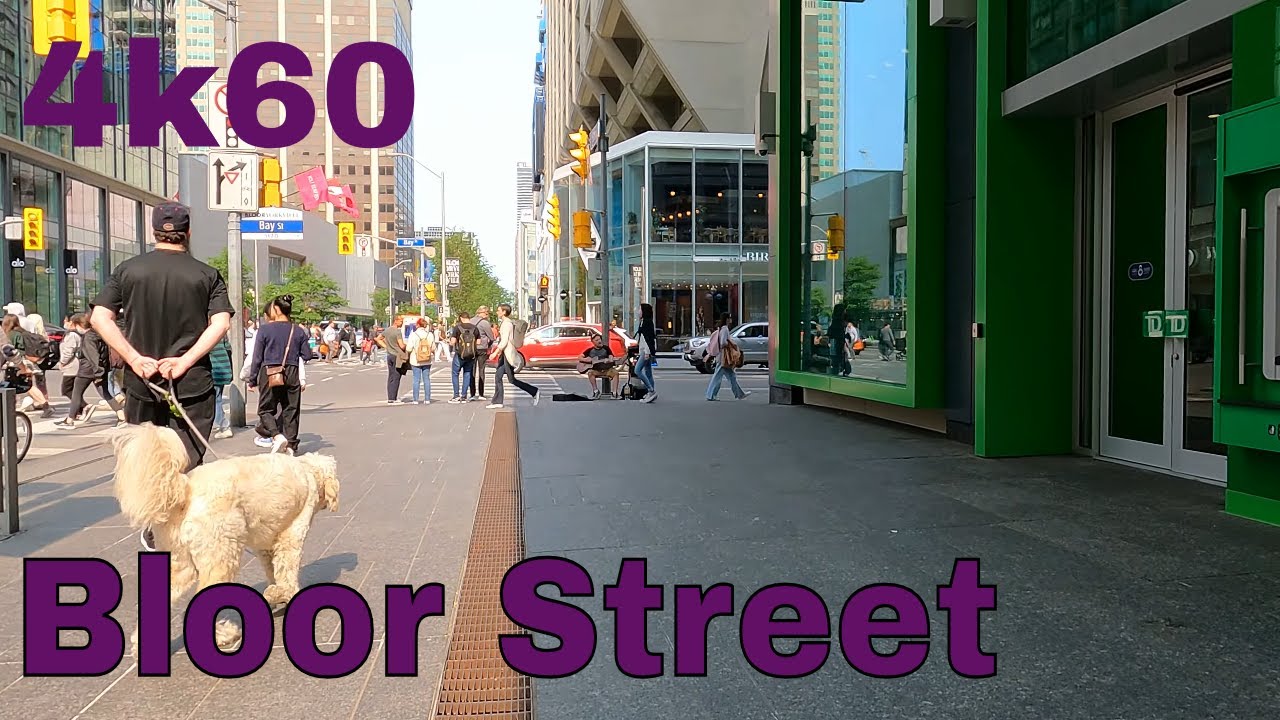 Bloor Street West -  Toronto  - Spring 2023  - Go-pro 4k60