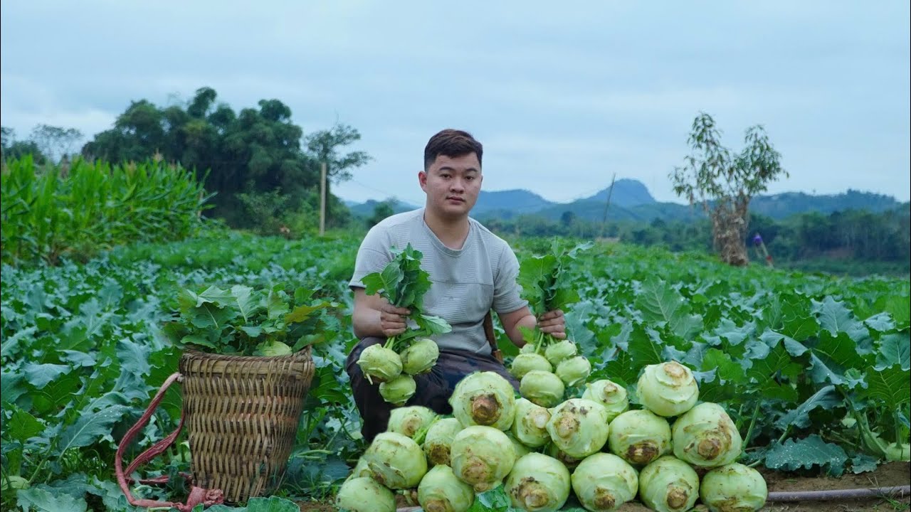 From Garden to Table | Cooking a Simple Farm Meal with My Puppy