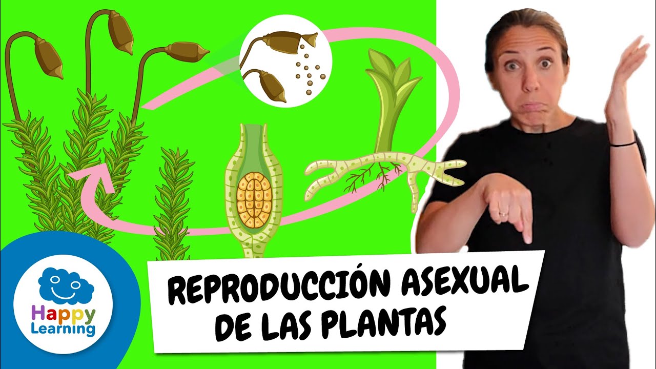 La Reproducción Asexual de las Plantas en Lengua de Signos | Happy Learning 🌱🖐✨