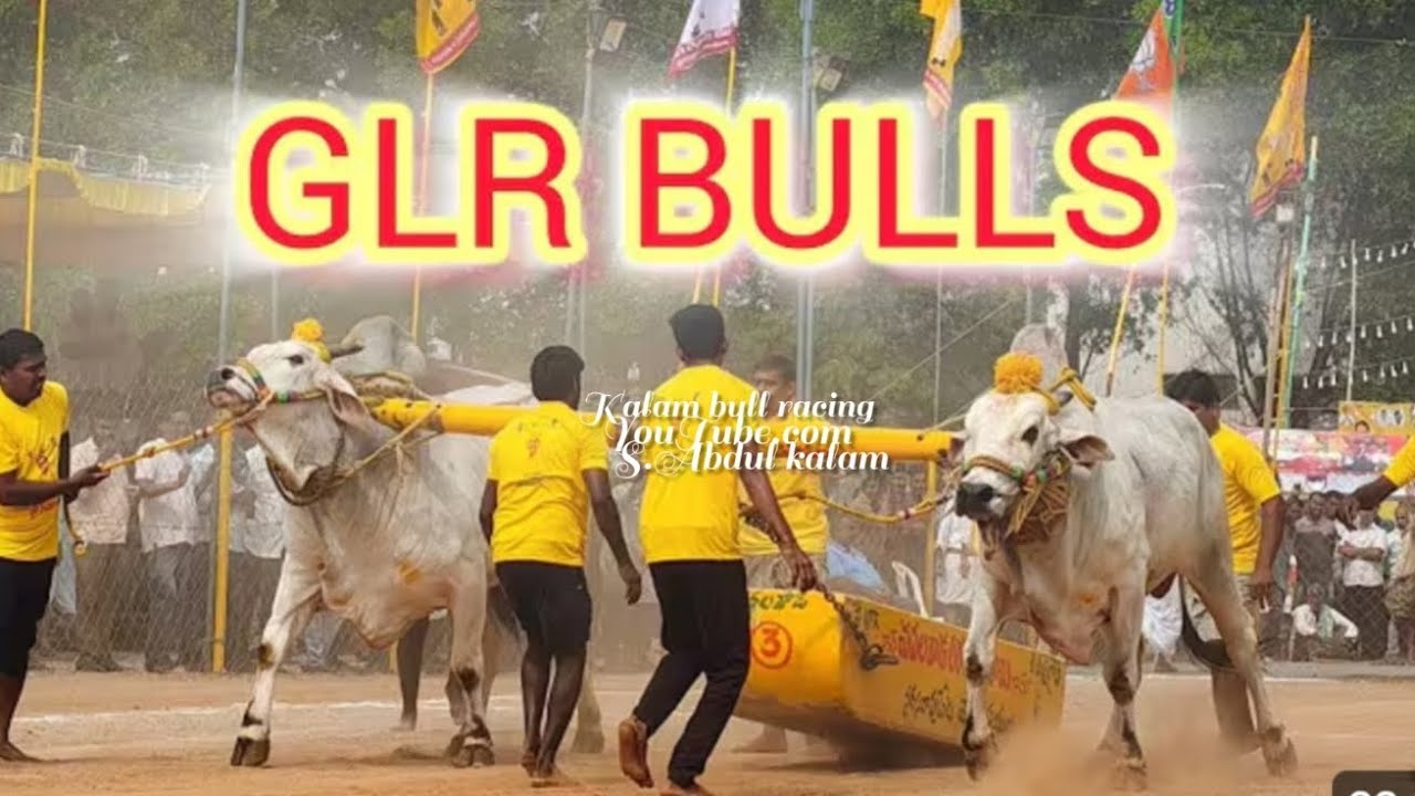 చిలకలూరిపేట సబ్ జూనియర్ విభాగం 1వ జత GLR బుల్స్