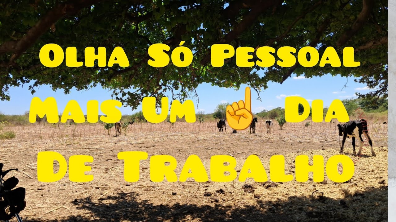 Eita Pessoal Mais ➕️ Um ☝️ Dia De Trabalho, Quase Pronto O Campo.