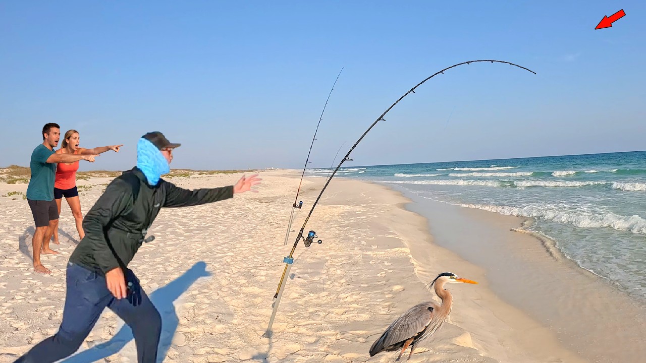Spring Break Fishing a Florida Beach & Caught This!