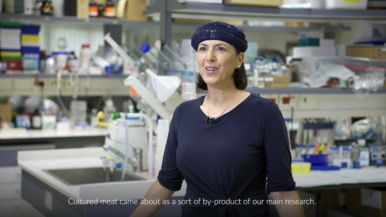 Tissue engineering: A way to cure medical conditions AND rethink today's food system