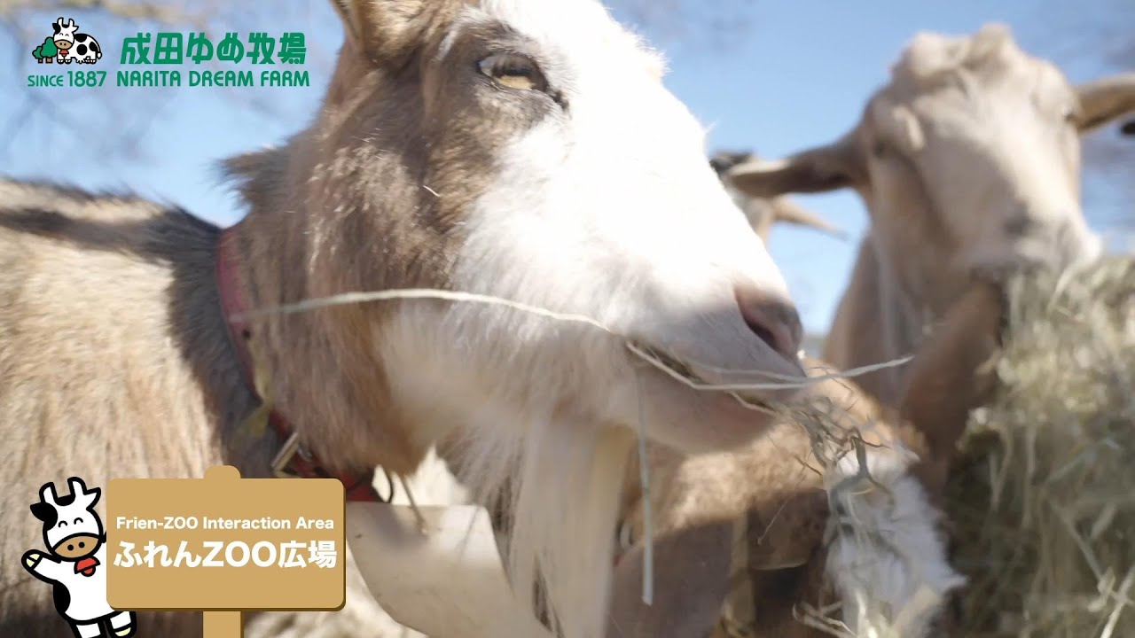 成田ゆめ牧場へ行こう！【PV】