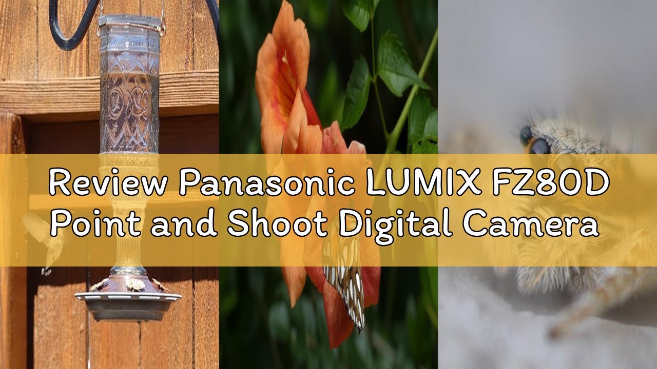 Review Panasonic LUMIX FZ80D Point and Shoot Digital Camera 4K Photo/Video Recording with Power Opti