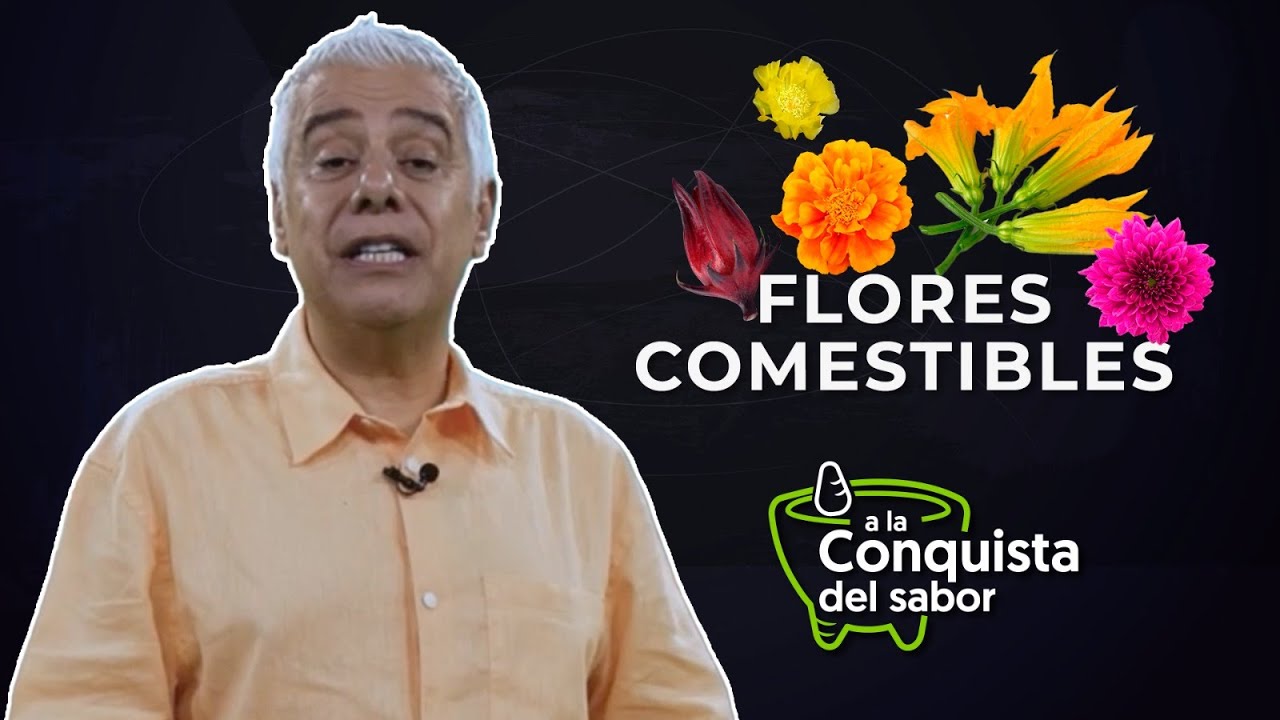 A la conquista del sabor 