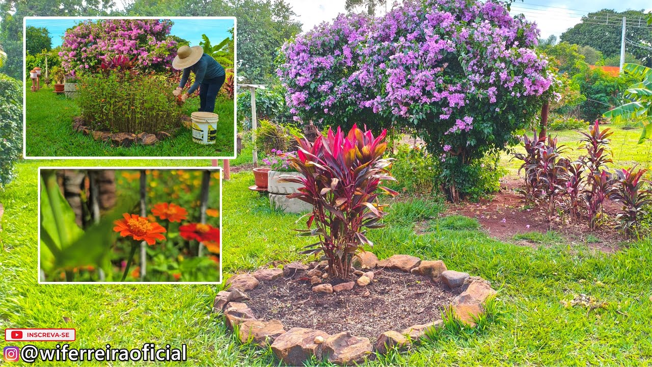 Renovando Floreira de Cosmos e Zinnias 🌸 + Tour pelas Flores do Jardim!
