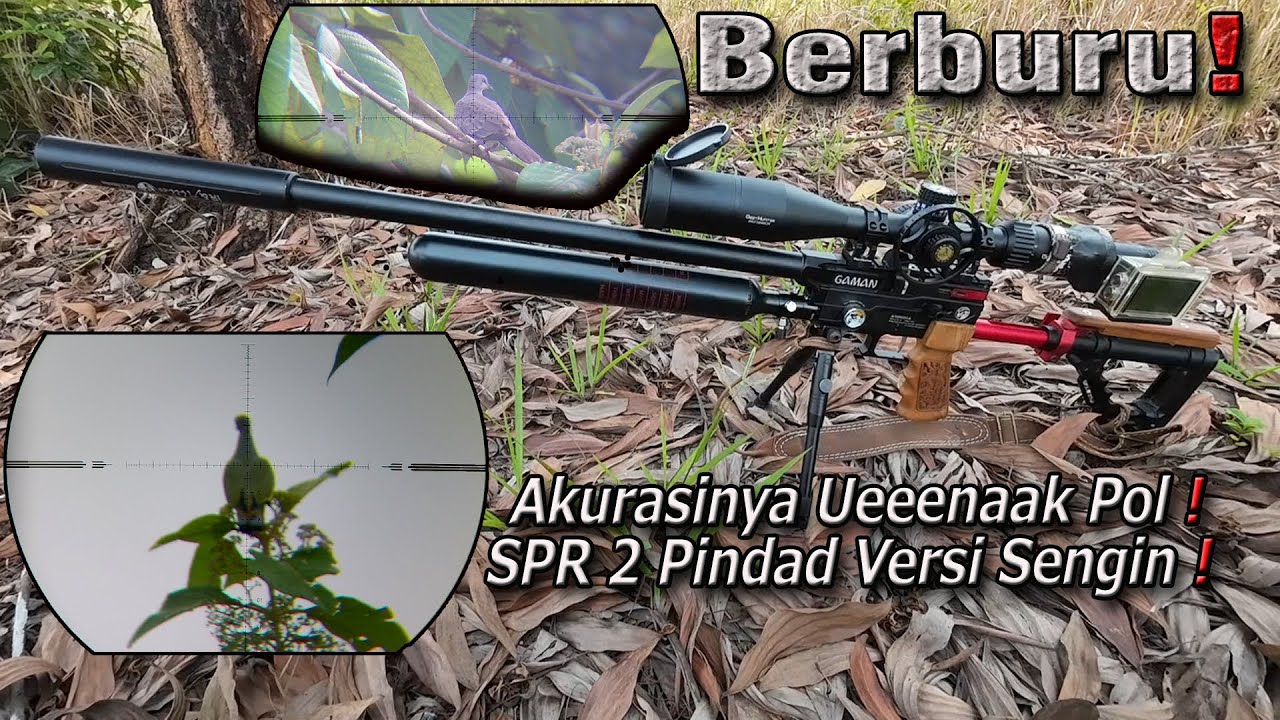 Berburu Dengan SPR 2 Pindad Versi Senapan angin  🤩🎯  Seru Poll, Poin Maksimal💯