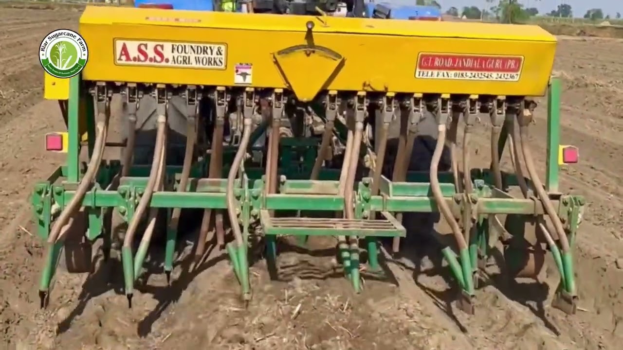 Wheat sowing on beds