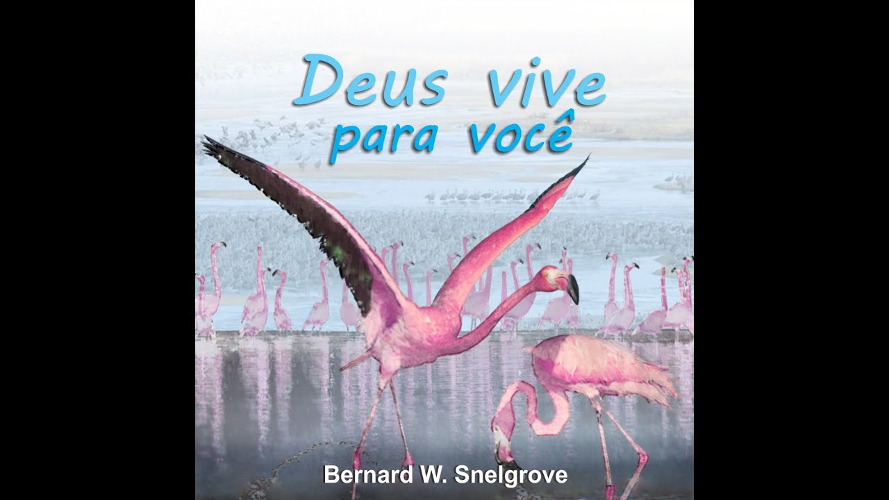 Deus VIVE para VOC&Ecirc; (03/08) - Bernard W. Snelgrove, Evento Poder para Mudar, Tau&aacute; Caet&eacute;, julho, 2015